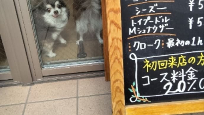 爪切り