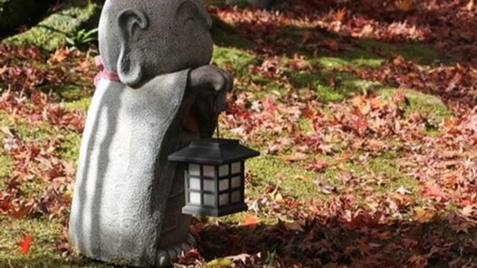 法界院~2021年11月23日