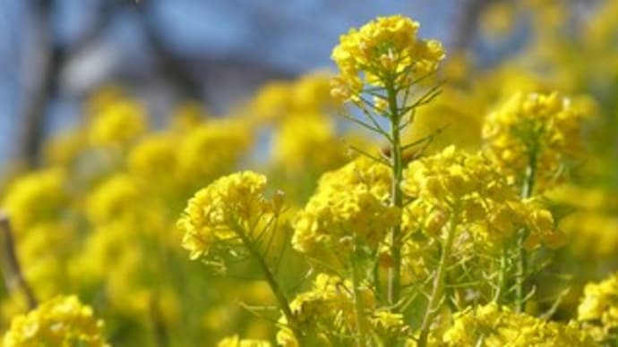 最近の新聞記事より　～忘れない！＆新たな考え方を生み出そう！～