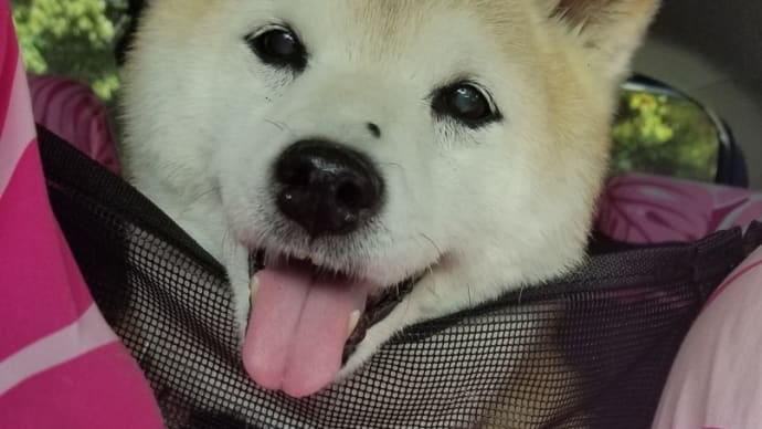 いつも・・そうなのよねぇ😅