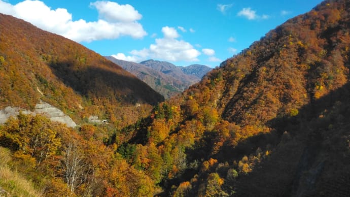 桂湖の紅葉 2022