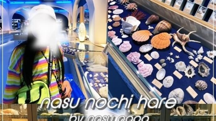 シェルミュージアム - 沖縄旅行記 Summer of 2019 6th Day Vol.55