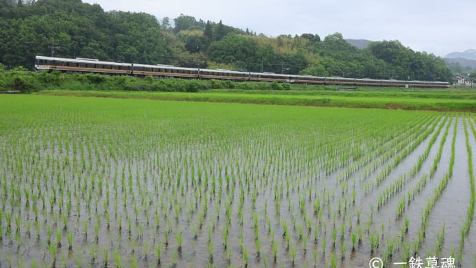 尾張よりしなの三号梅雨の中