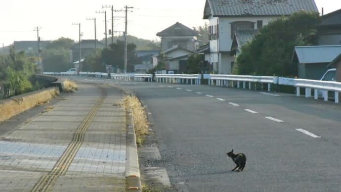 木更津・朝の海①-見立海岸と金田漁港