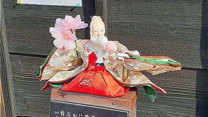 今年も『福よせ雛』が見れました