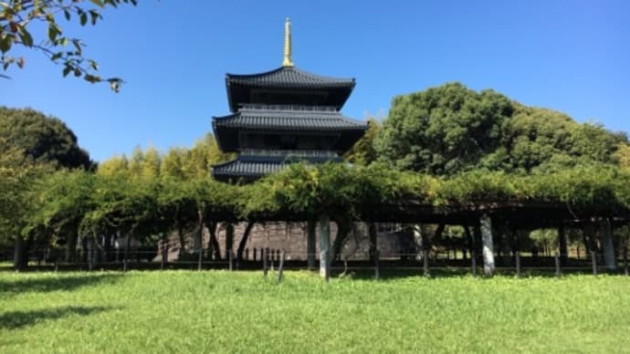 春以来、、、