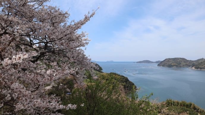お花見の日