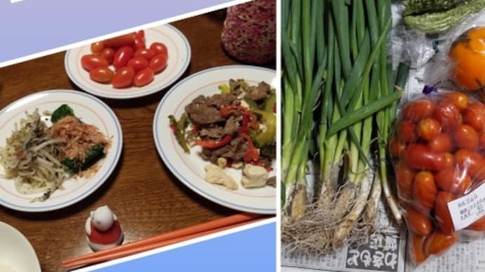 ♪　夕方、「今日は、何時がOK ？　美味しい落花生が手に入ったから、　熱々を食べていただきたいの」　