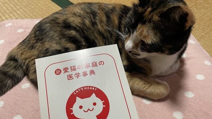 異物誤飲の対処法