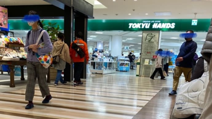 膝がおバカなので回復に1週間あまり。歩き過ぎはダメですね。