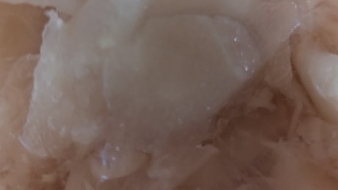 新ショウガ漬けてみました。