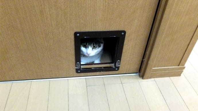 張り込み!?
