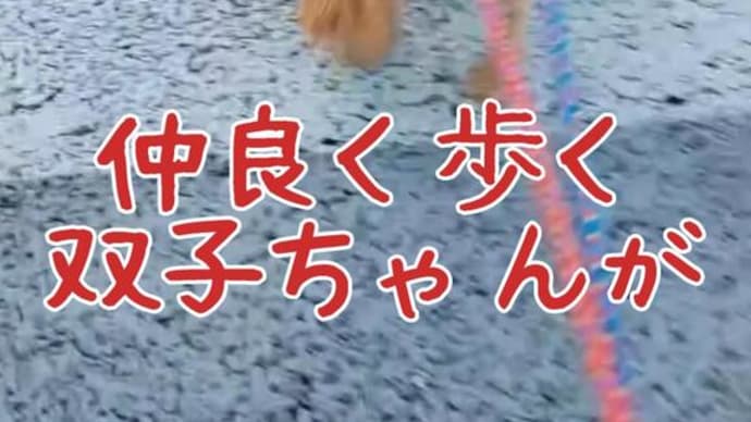 【ショート動画公開】衝撃映像!!! 仲良し双子ちゃんのAIアニメを作ってみたら