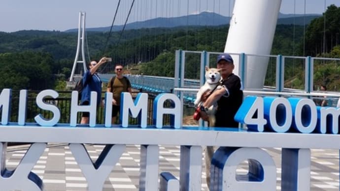 クリンと一泊旅行➃