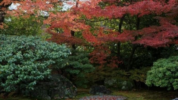 (2019年改訂版)紅葉の京都名所勝手にランキングその3(計273か所)