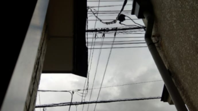 只今通過夏至点空はどん曇り