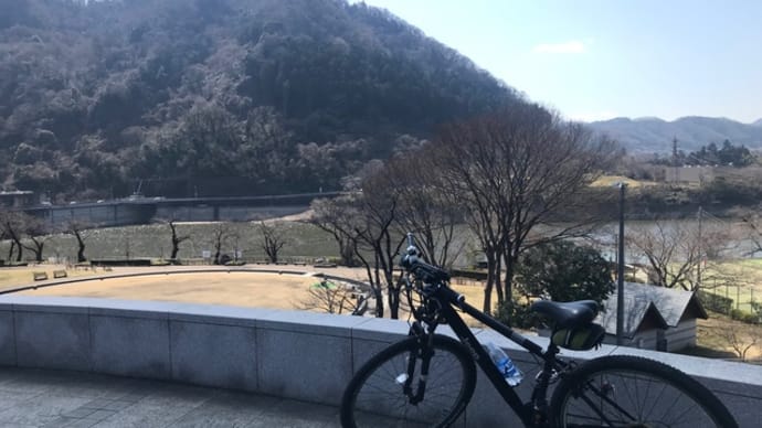車がなくなったので。