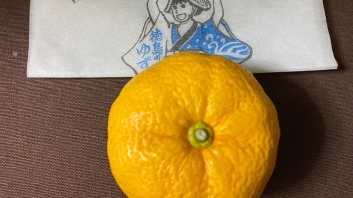 昨日のゆず