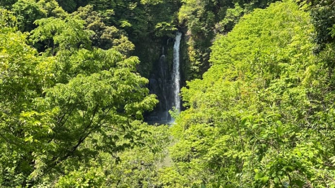 山笑う