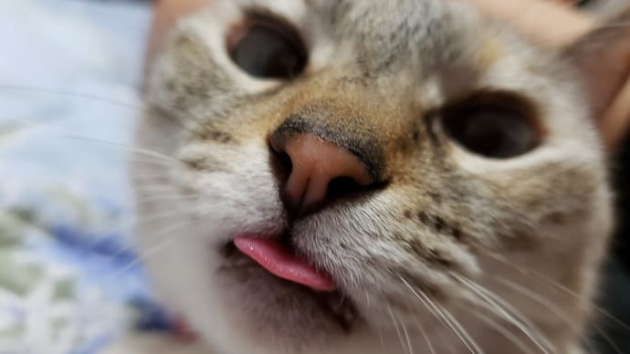好きの真ん中