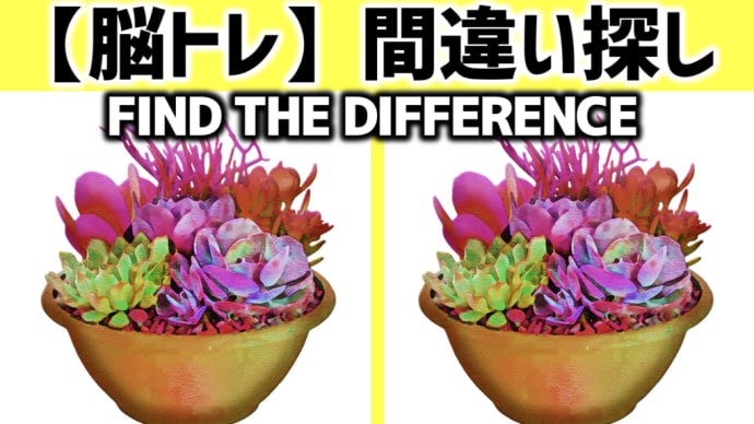 【脳トレ】間違い探しクイズ 多肉植物編 全5問 - 69 | 5 questions in total! Can you find all the differences in 90 seconds?