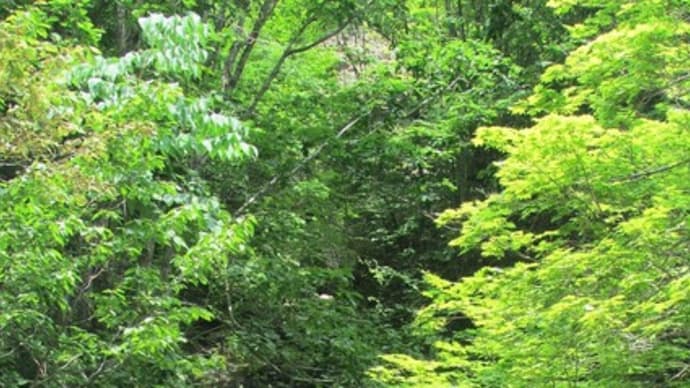 せたな町の滝【布の滝】