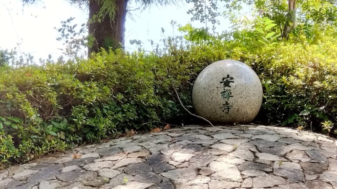 学童クラブ☆『安善寺』一泊二日の宿泊体験を頑張りました―