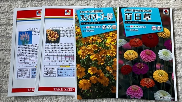 花の種を買いました