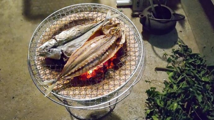 家で循環させてみる