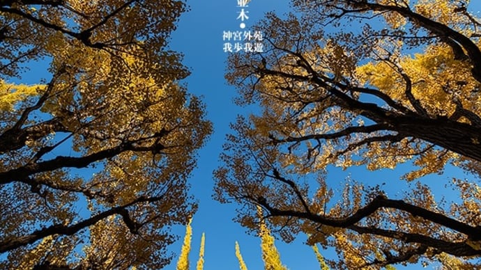 上をむいて歩こう・・・。