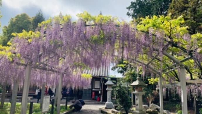 草津・三大神社