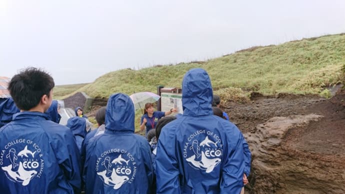 大阪ECO三宅島実習旅行第一陣