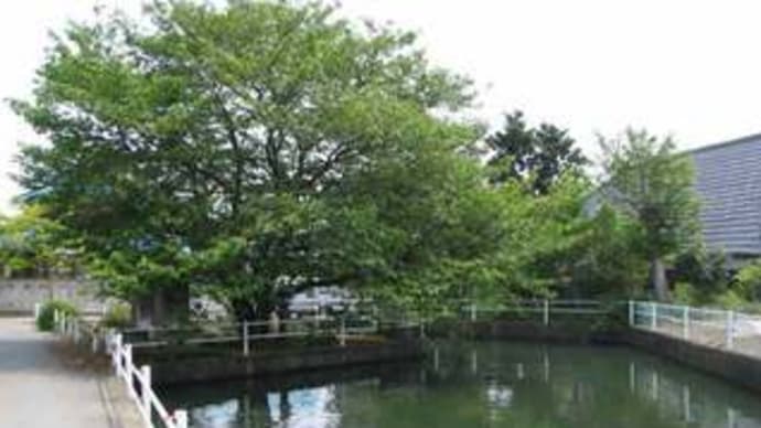 梶原の池