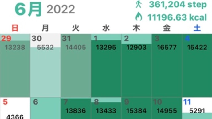 6月の歩数記録、そして台風通過後の散歩