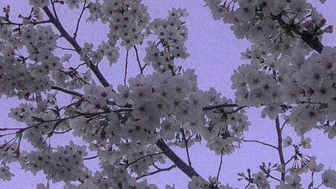 紫の世界part4
