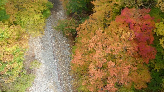 北信濃高山村・・・紅葉を求めて・・・松川渓谷へ