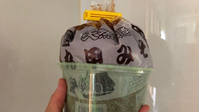 日記 地味噌美味い!