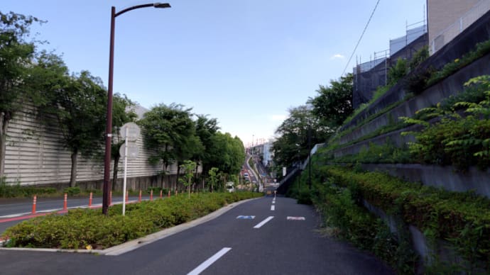 05月29日 精進料理に近づいている?