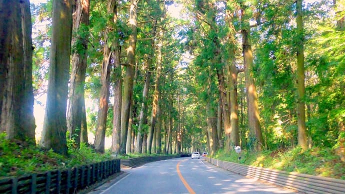 秋の日光・・・杉並木の例幣使街道・・・鹿沼から今市へ