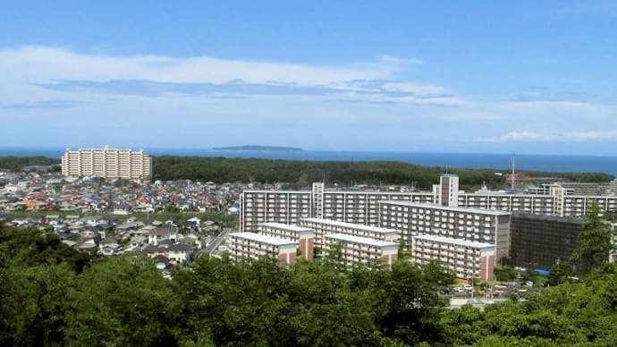 鹿部山 50