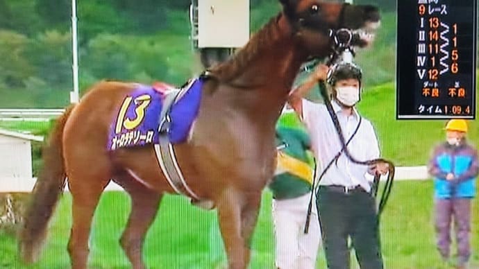 🐴きょうのおうまさん(22/8/17) 黒潮盃・インターナショナルS