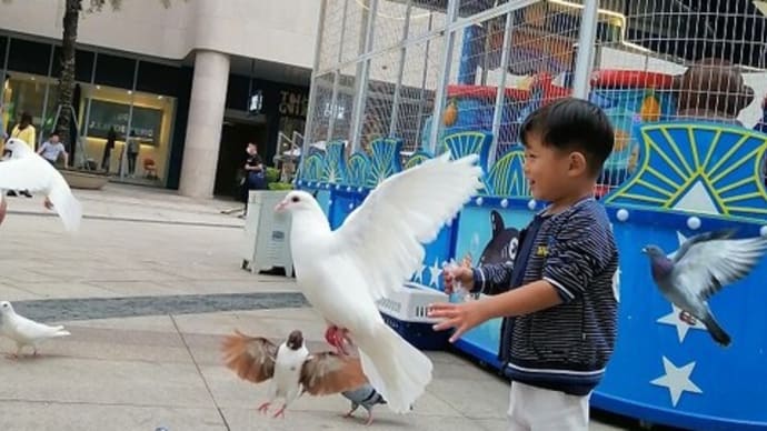 Friday Night Fever!! って、毎晩なんですが・・・