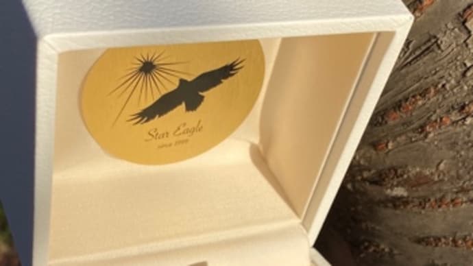 HIRO STAR EAGLE JEWELRY