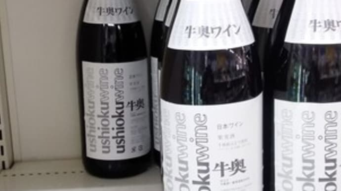 牛奥ワイン 白 休売です。