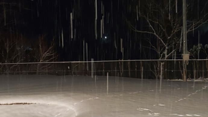 夕方からの雪が積もってる