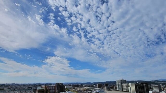 10月25日は何の日?
