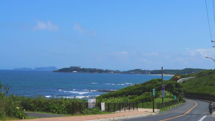 ハマユウが香る夏井ヶ浜海岸