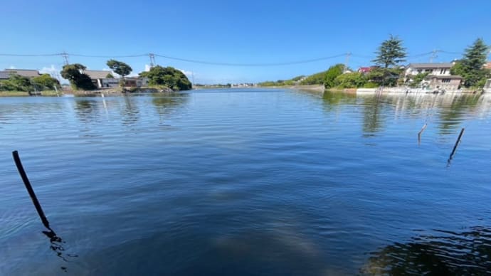 釣果、気温ともに激アツな涸沼川
