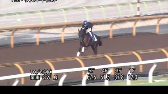 毎日王冠 検討第1報 調教診断から軸馬 穴馬をあげる