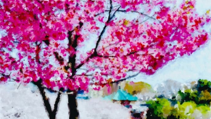 東京　不忍池と桜
